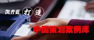 企业整体形象CIS策划 构建品牌核心竞争力的系统工程